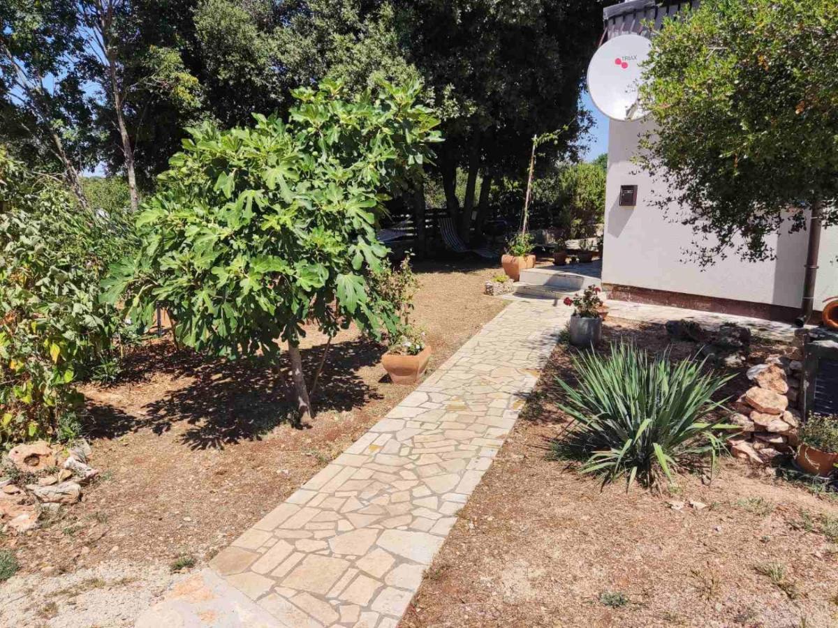 Appartement Viva 2 Rovinj Extérieur photo